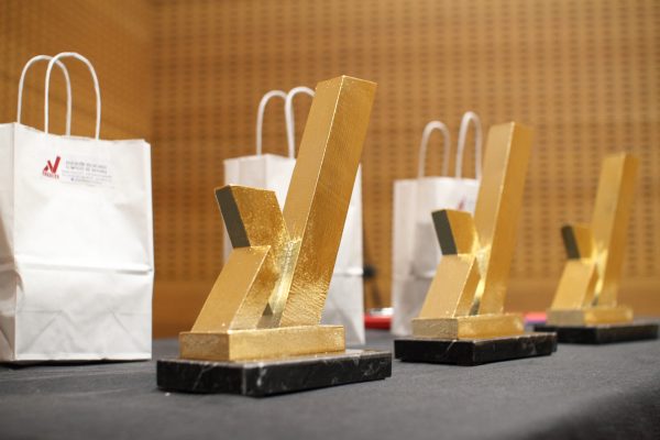 VI PREMIOS VOLUNTARIO DEL AÑO 2019